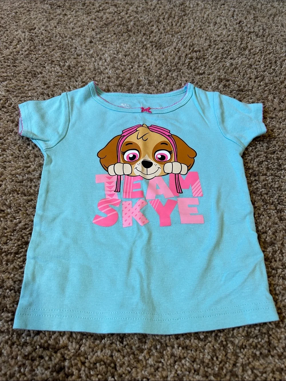 Carter's Mint & Pink Paw Patrol Skye Short-Sleeve Pajama Set